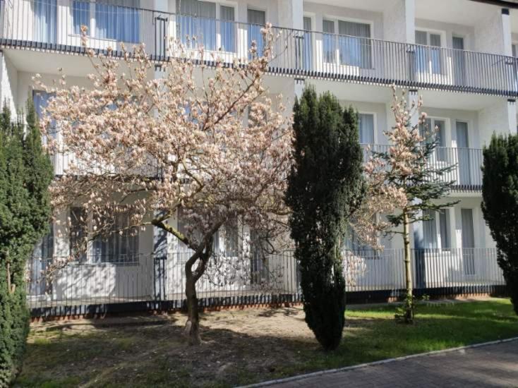 Osrodek Wczasowy Wrzos Łukęcin Exteriör bild